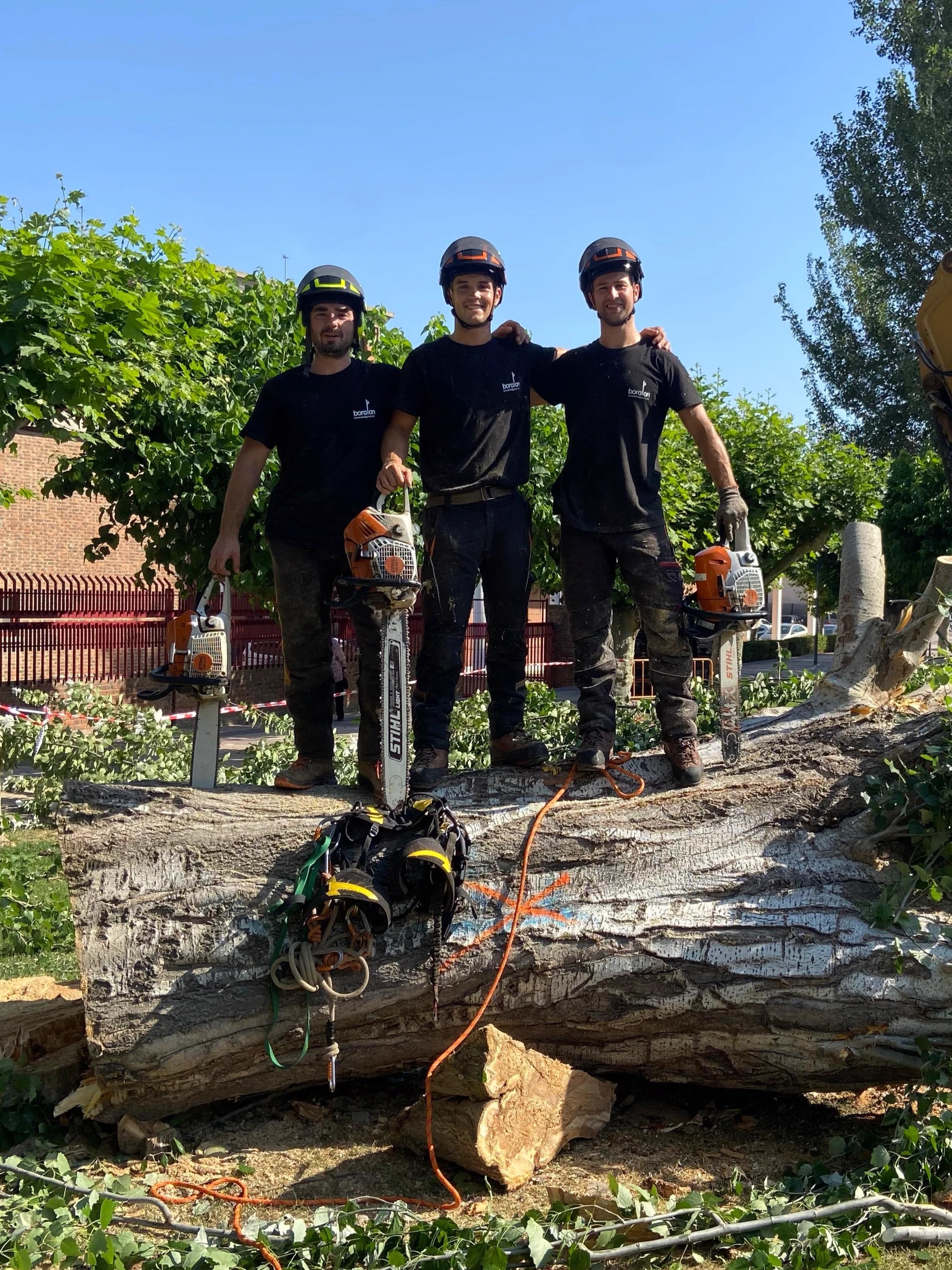 Iker, Beñat y Jon, el equipo de Boralan, sobre el tronco de un gran árbol talado