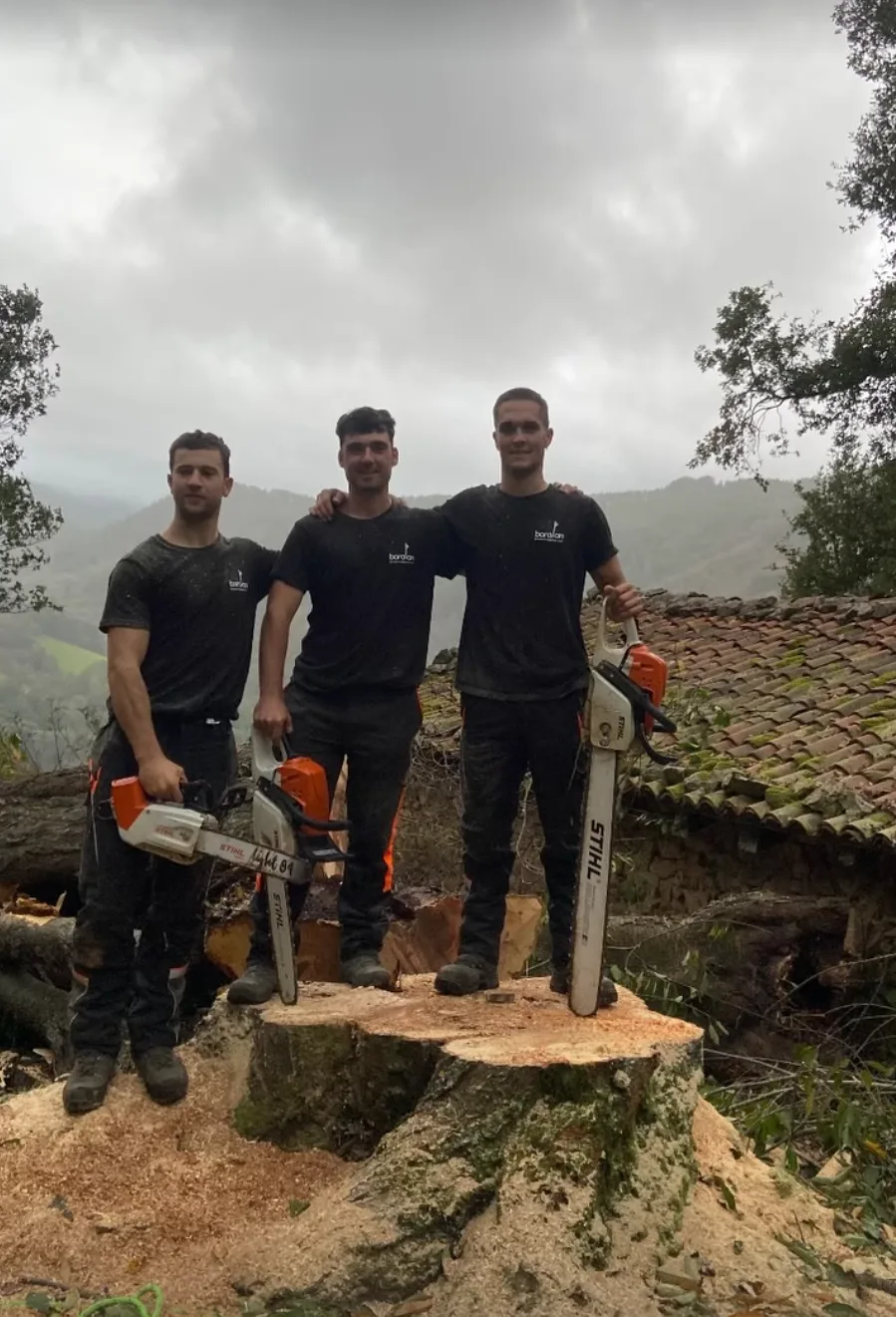 El equipo de Boralan sobre el tocón de un árbol talado en la montaña