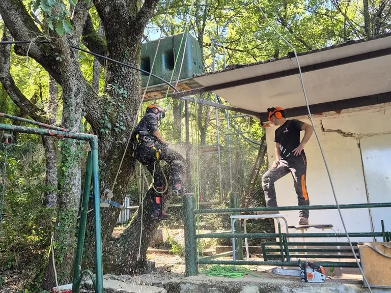 Detalle de la técnica de trepa con polea sujeta al tronco